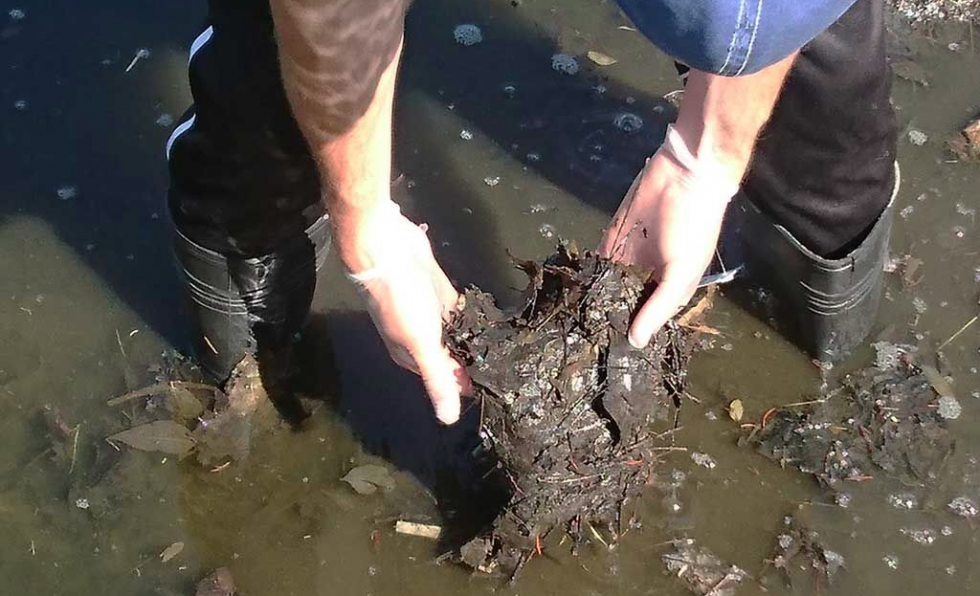 Muck Removal for Ponds and Lakes in Northwest Ohio & Surrounding Areas