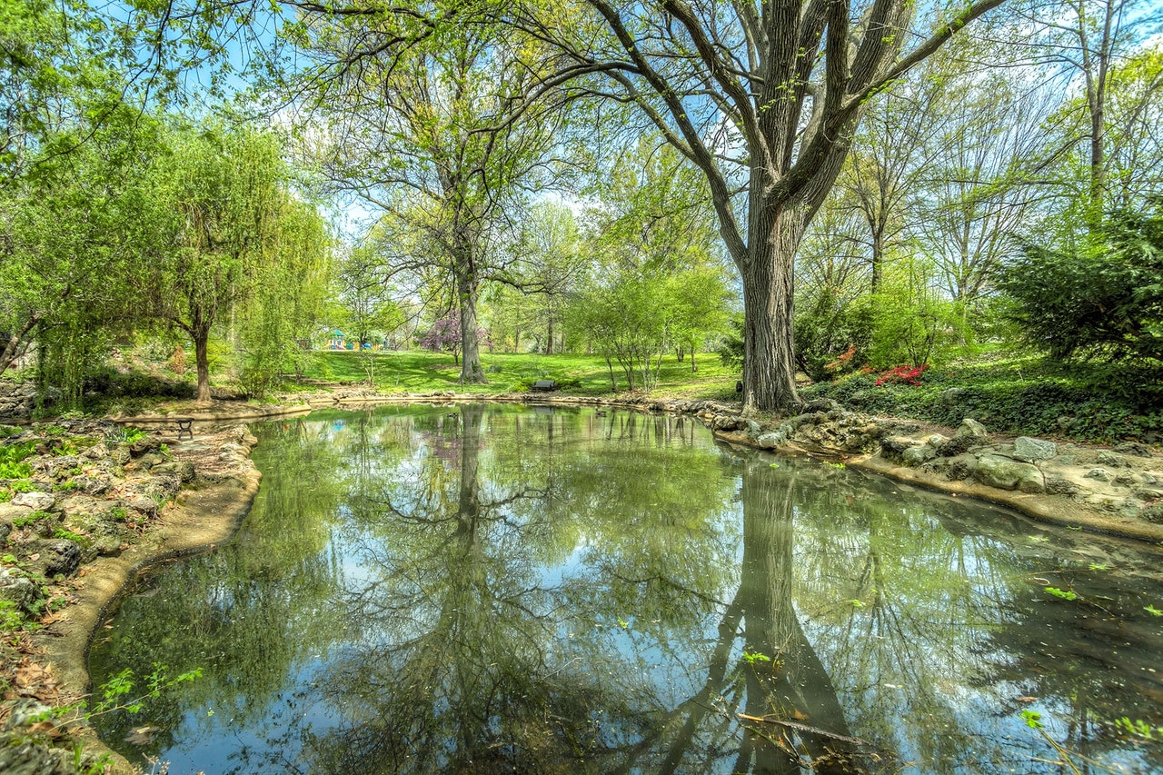 Pond care services near me in Perrysburg
