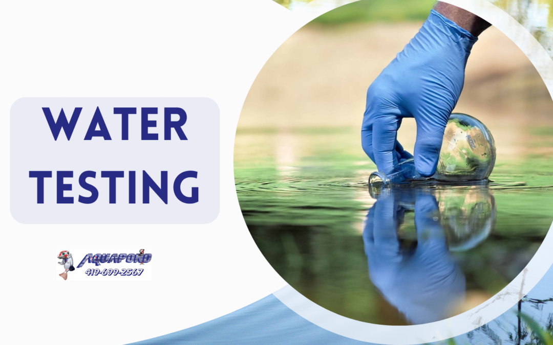 The Importance of Water Testing: Ensuring a Healthy Pond Ecosystem
