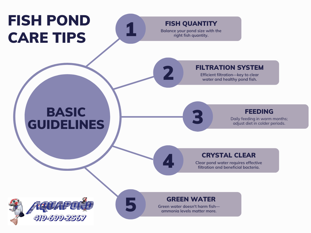 how to care for pond fish