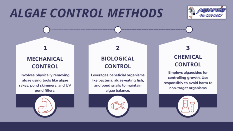 A closer look at Regulating Nutrient Introduction For Algae Control