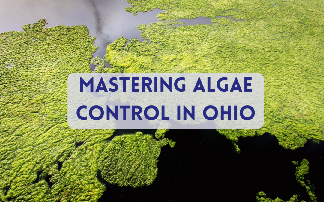 ohio algae control