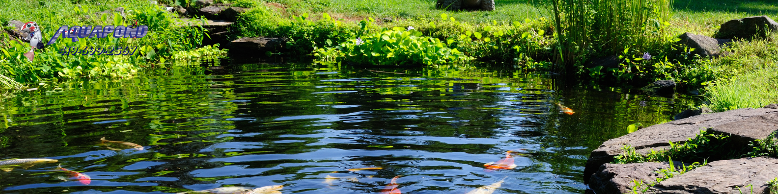 Pond maintenance and water-quality management by Aquapond