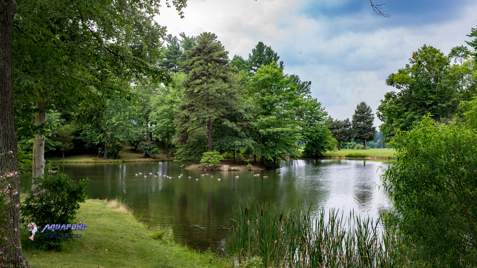 Large private pond with shoreline and floating dock