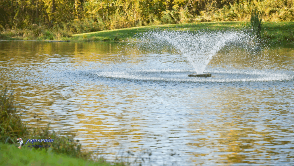 local pond management services