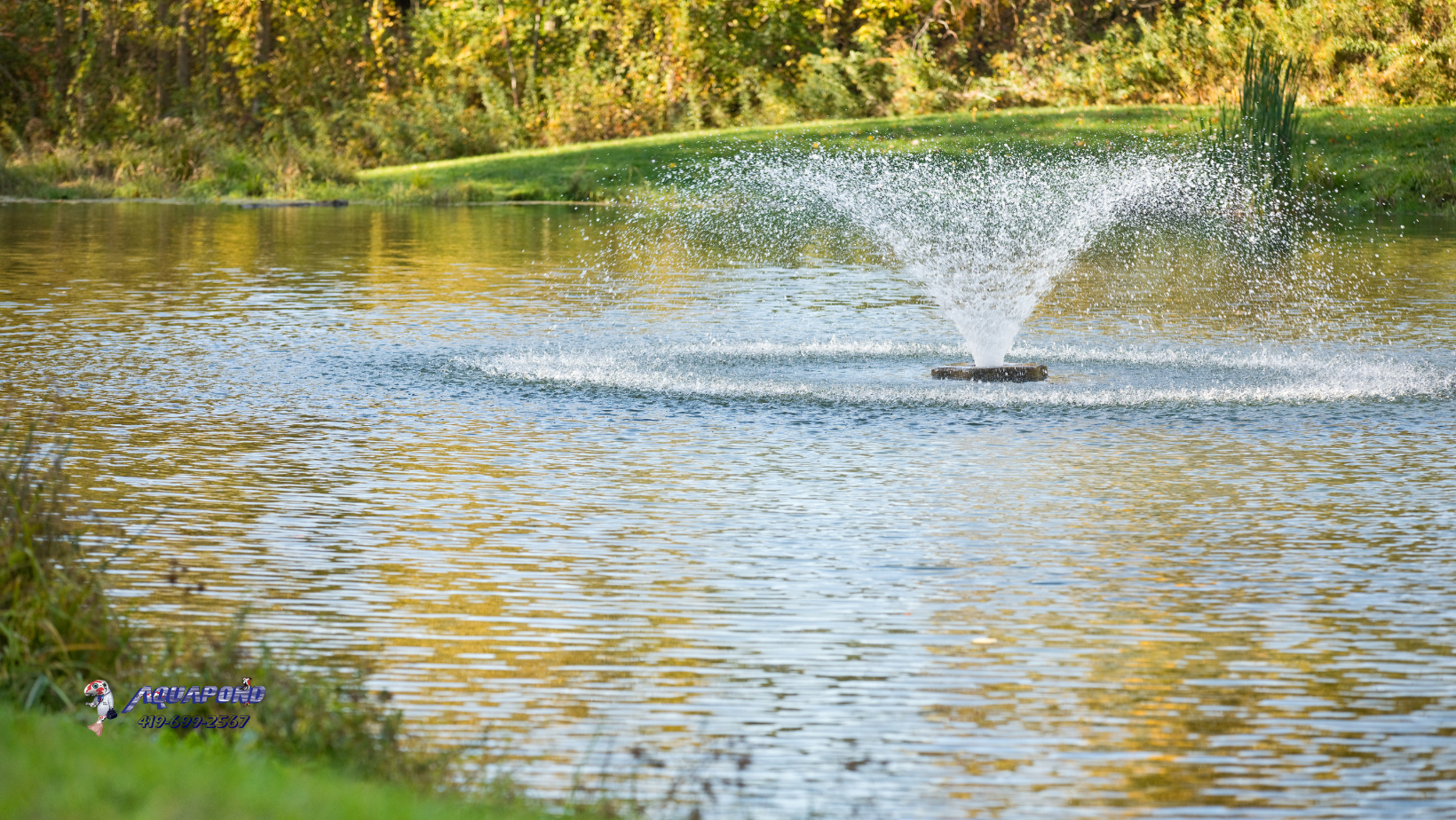 Farm pond and acreage pond management in Northwest Ohio