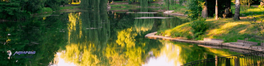 hoa pond maintenance ohio