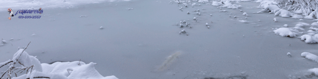 ohio winter pond care