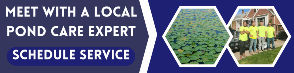 get pond help