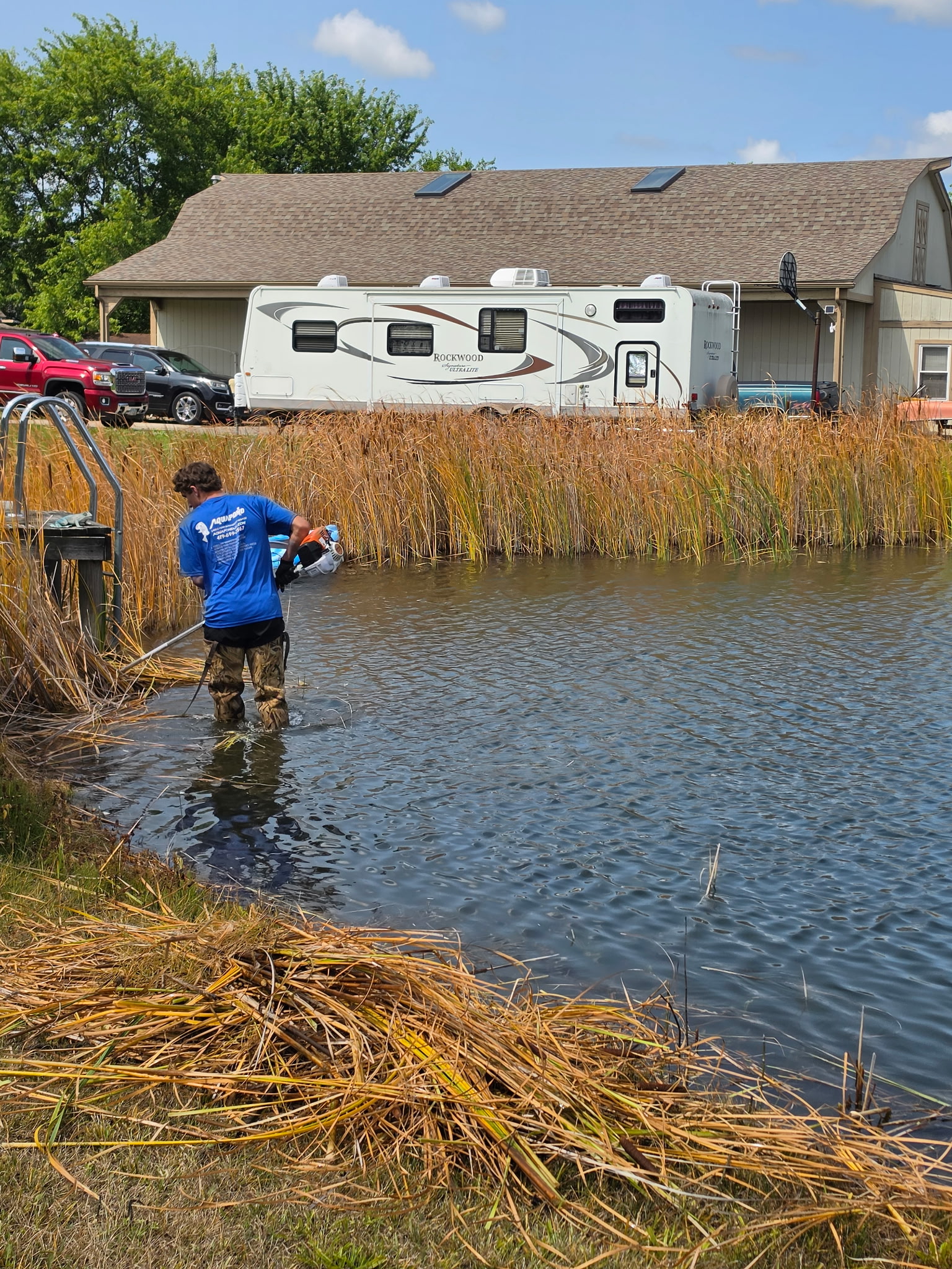 Cattail removal project in Toledo Ohio