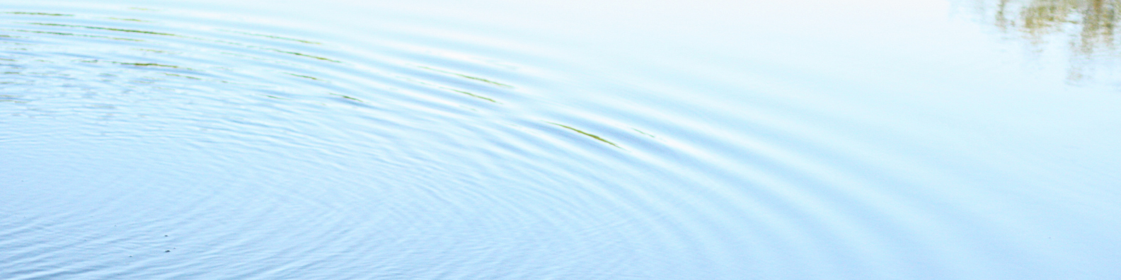 Aquapond cleaning a pond in Northwest Ohio