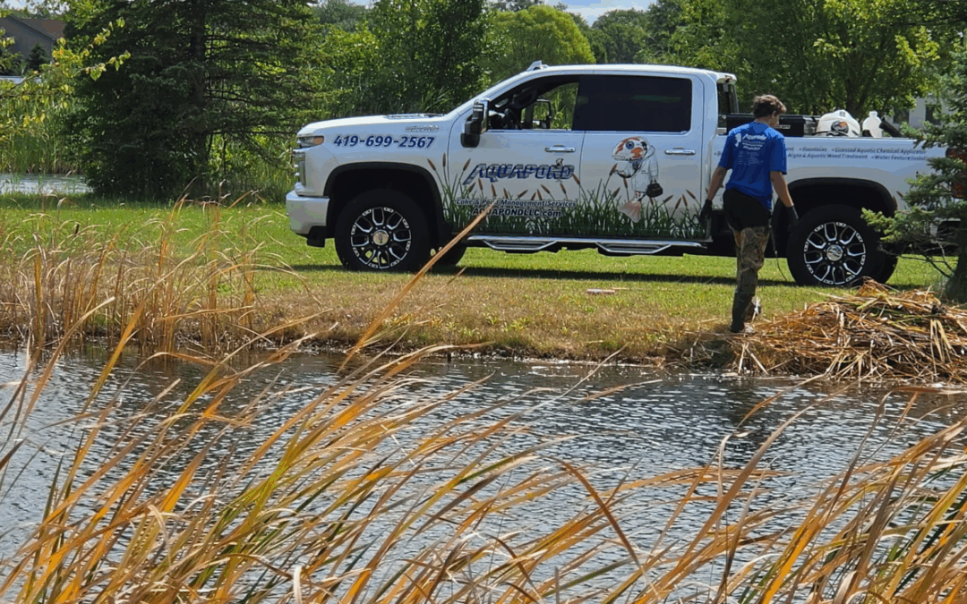 Does Your Pond Need Dredging?