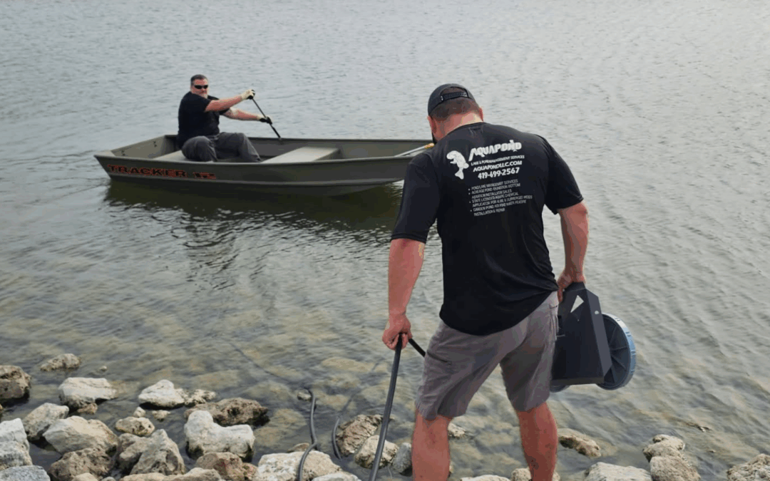 What Happens During a Professional Pond Cleaning?