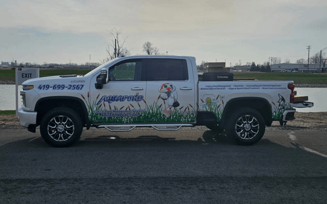 Ohio Pond Maintenance Guide by Season